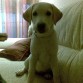 3,5 meses